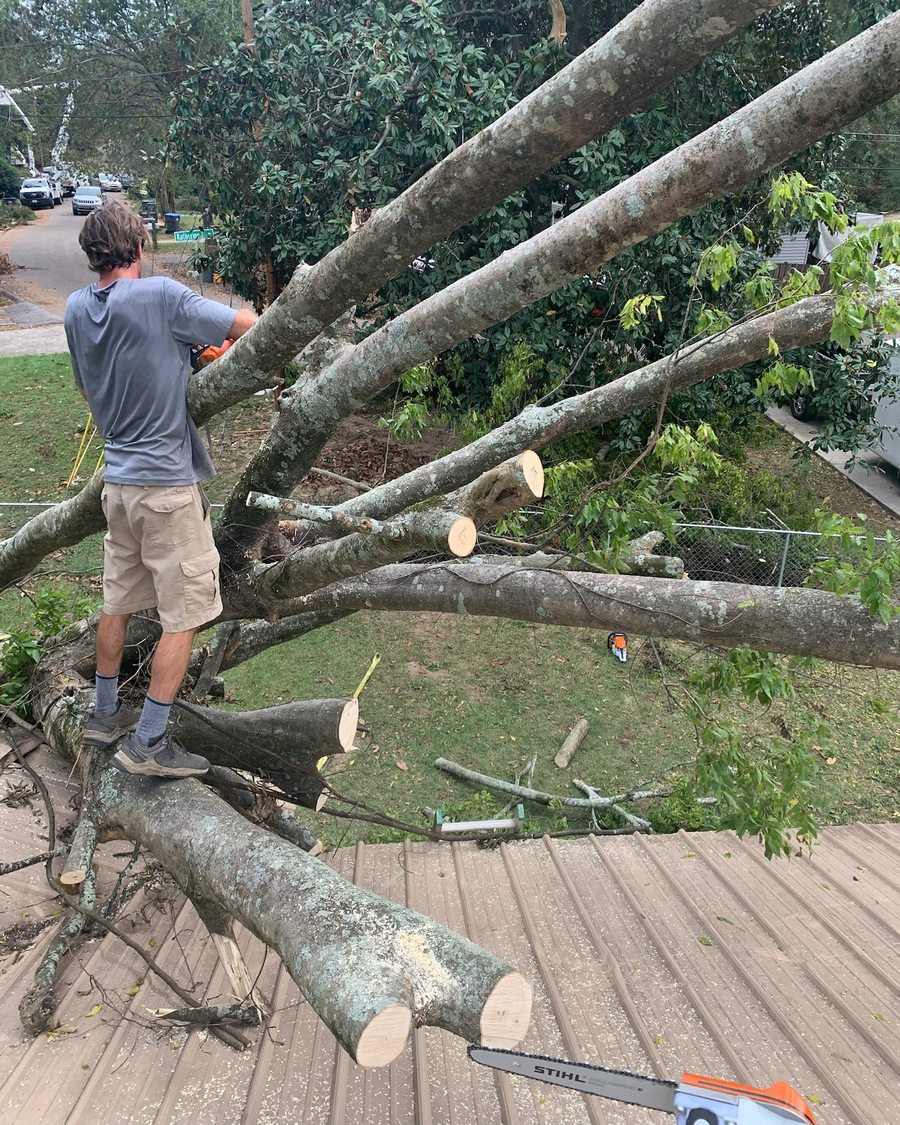 Crew member cutting a storm-fallen tree off a metal roof in the CSRA